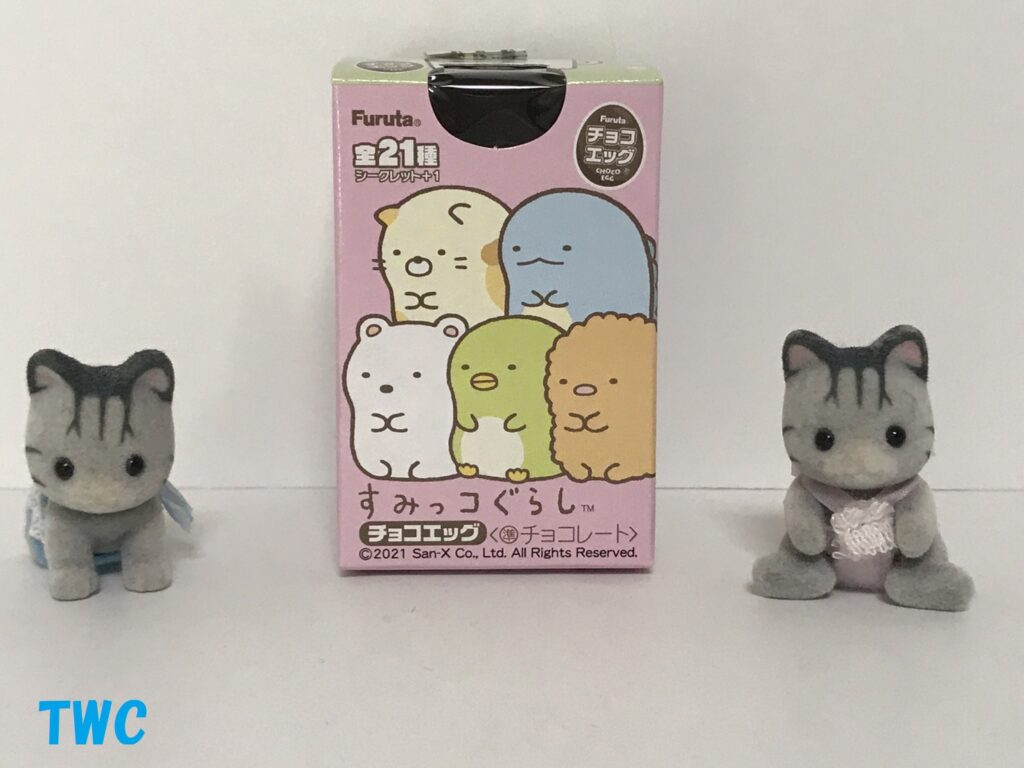 egg_box-1024x768.jpg